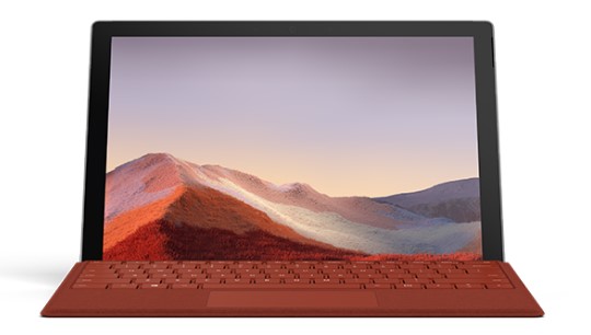 陆丰清洁和维护 Surface